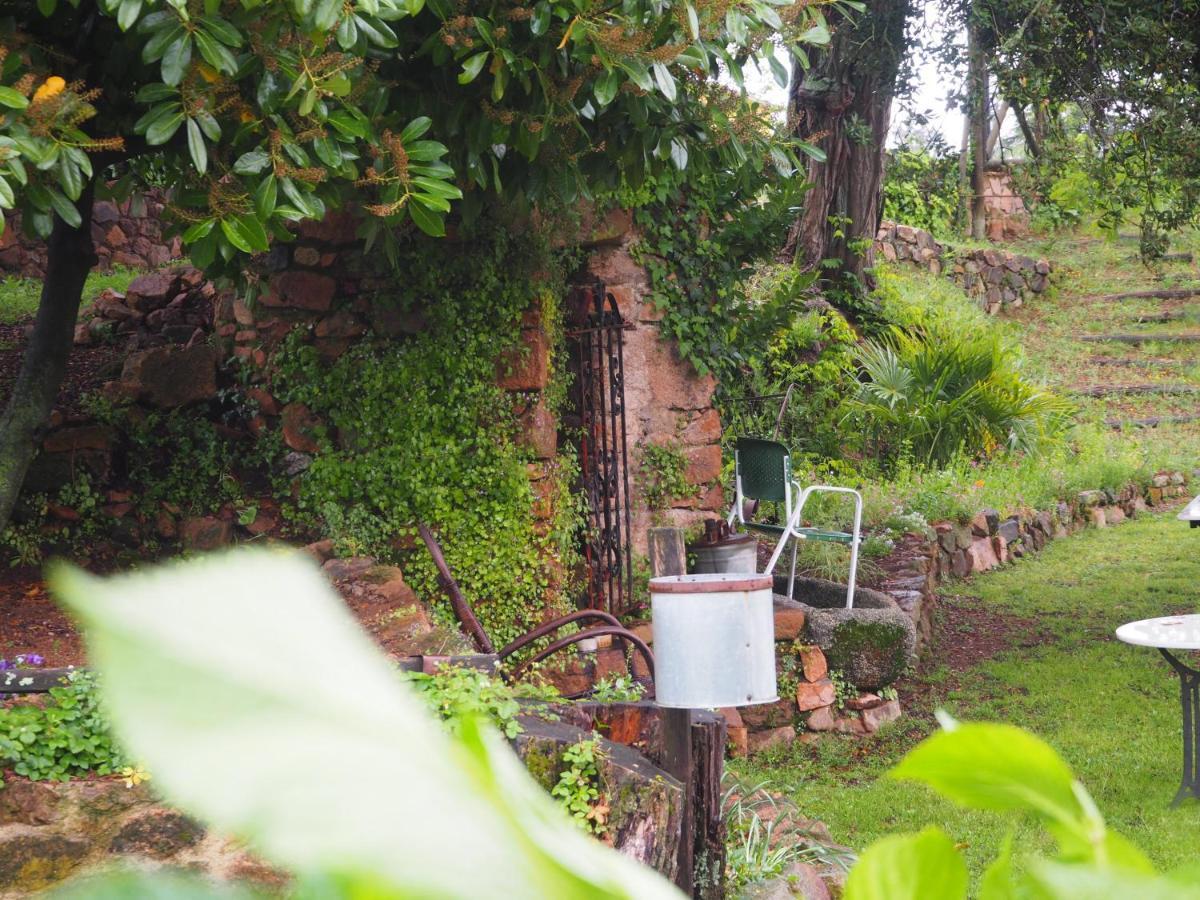 Mas Cal Sastre Sant Hilari Sacalm Exterior foto